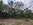 Northern edge of properties